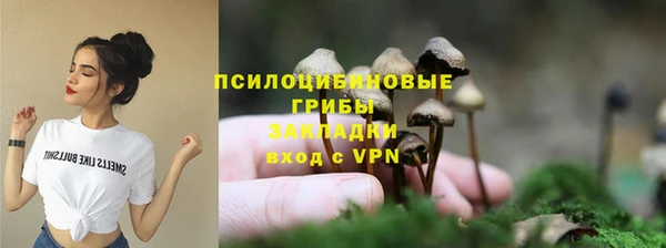 сатива Верхний Тагил